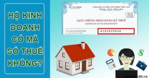 Mã số thuế hộ kinh doanh rất quan trọng để hoạt động