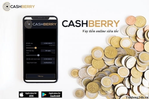 Thủ tục vay vốn tại ứng dụng CashBerry được chia làm 2 đối tượng chính