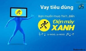 Điện Máy Xanh là hệ thống siêu thị điện máy hoạt động với quy mô lớn nhất ở Việt Nam