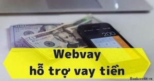 Webvay là trang website cho vay tiền thuộc quyền quản lý của công ty TNHH MD Technology VietNam