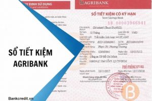 Mã sổ tiết kiệm Agribank