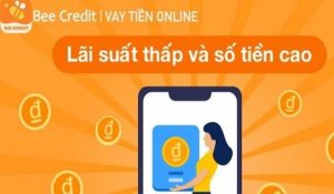 Bee Credit Là Gì?