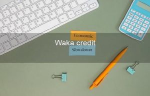 Waka Credit Là Gì?