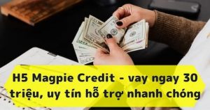 Magpie Credit Là Gì?