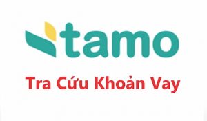 Tra Cứu Khoản Vay Tamo Là Gì?