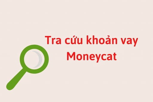 Tìm hiểu Khoản vay MoneyCat là gì?