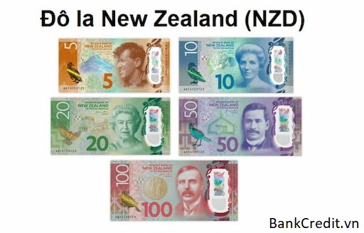 Thông Tin Về Tiền New Zealand (NZD)