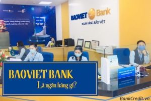 Bảo Việt Là Ngân Hàng Gì? Của Nhà Nước Hay Tư Nhân?