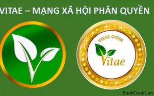 Vitae Là Gì?