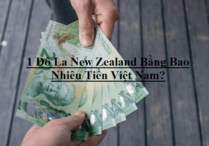 1 Đô La New Zealand Bằng Bao Nhiêu Tiền Việt Nam? Tỷ Giá 1 NZD = VND