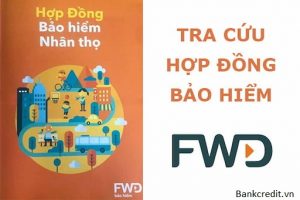 Hướng Dẫn Tra Cứu Hợp Đồng Bảo Hiểm FWD Nhanh Nhất 2023