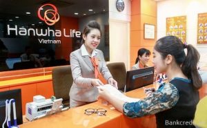 Hợp đồng bảo hiểm Hanwha Life, cách tra cứu.