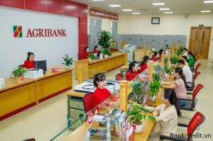 50, 100 Triệu Gửi Ngân Hàng Agribank Lãi Suất Bao Nhiêu 1 Năm?