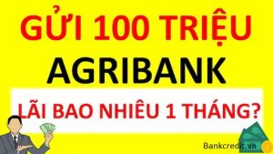 Nên đăng ký gửi 100 triệu kỳ hạn từ 12 – 24 tháng.