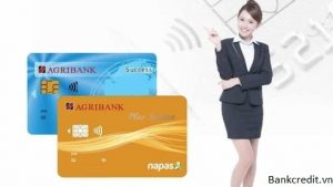 Thẻ Tín Dụng Agribank Là Gì?