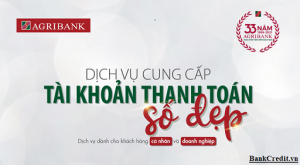 Tài Khoản Số Đẹp Agribank Là Gì?