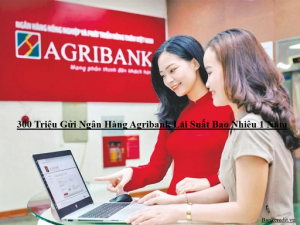 300 Triệu Gửi Ngân Hàng Agribank Lãi Suất Bao Nhiêu 1 Tháng, 6 Tháng, 1 Năm?