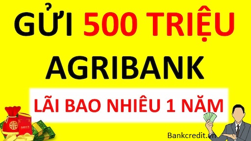 500 Triệu Gửi Ngân Hàng Agribank Lãi Suất Bao Nhiêu 1 Năm?