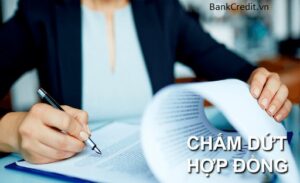 Cách Tất Toán, Thanh Lý Hợp Đồng ACS Nhanh Nhất